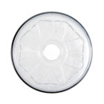 Plastic Hubcap